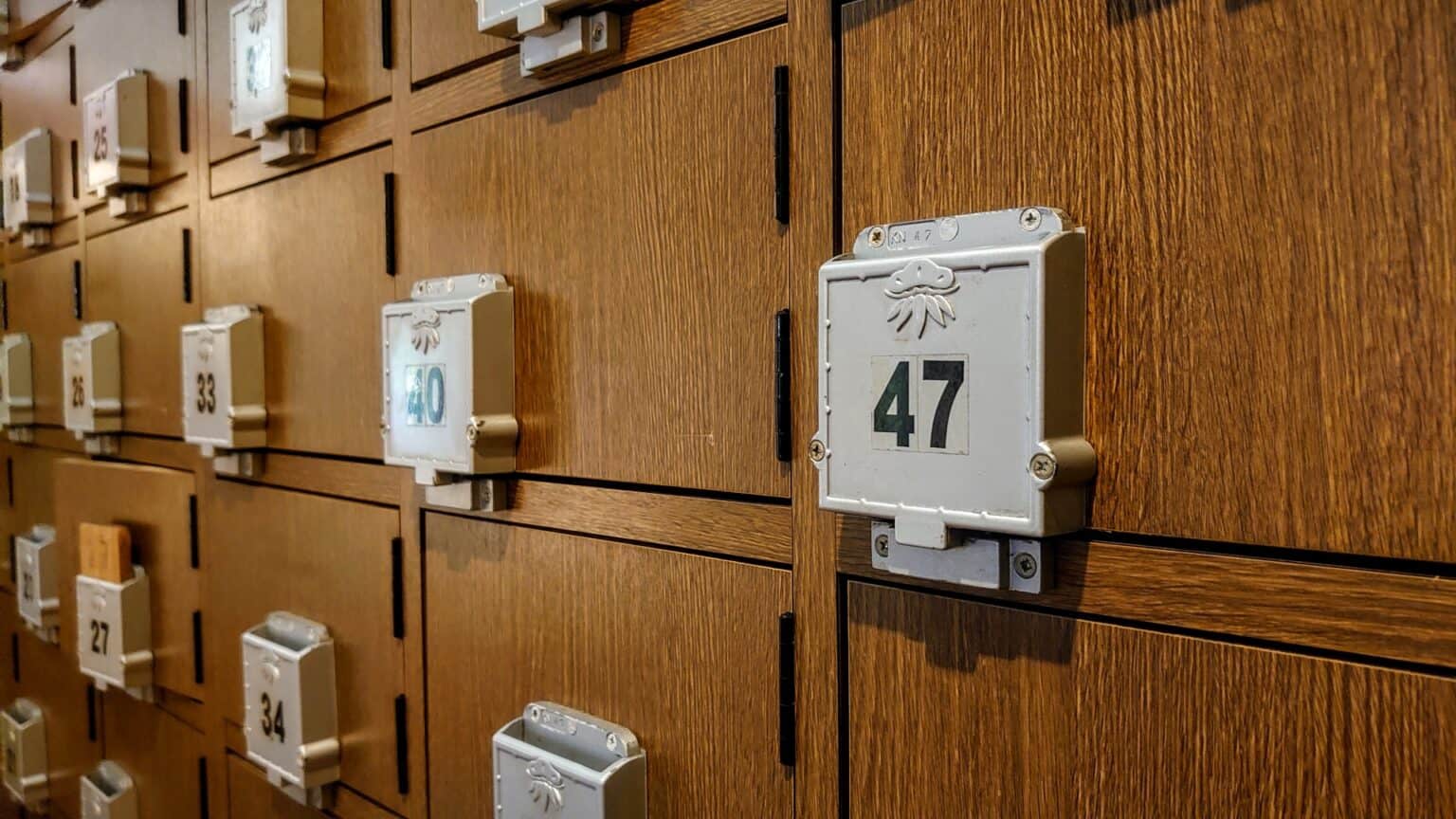 Tokyo’s Hidden Gems: Tattoo-Friendly Traditional Hot Spring Bathhouses ...